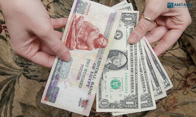 سعر الدولار في مصر الأربعاء 18/03/2026